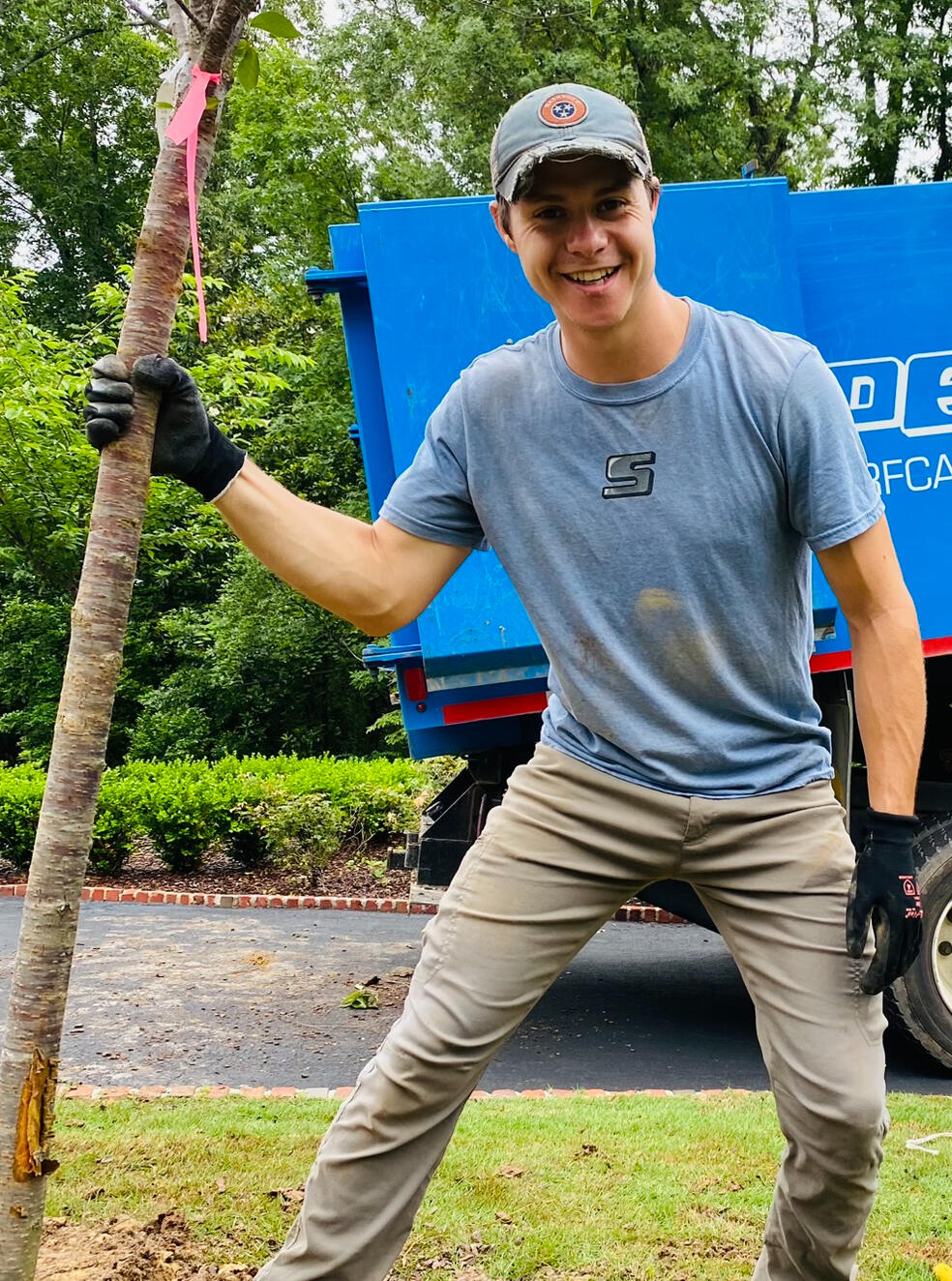 A new tree! A new day!